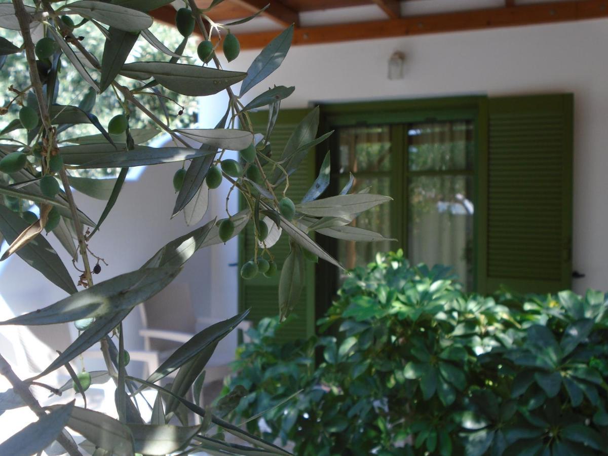 Leros Eleonas Apartments Alinda  Eksteriør billede
