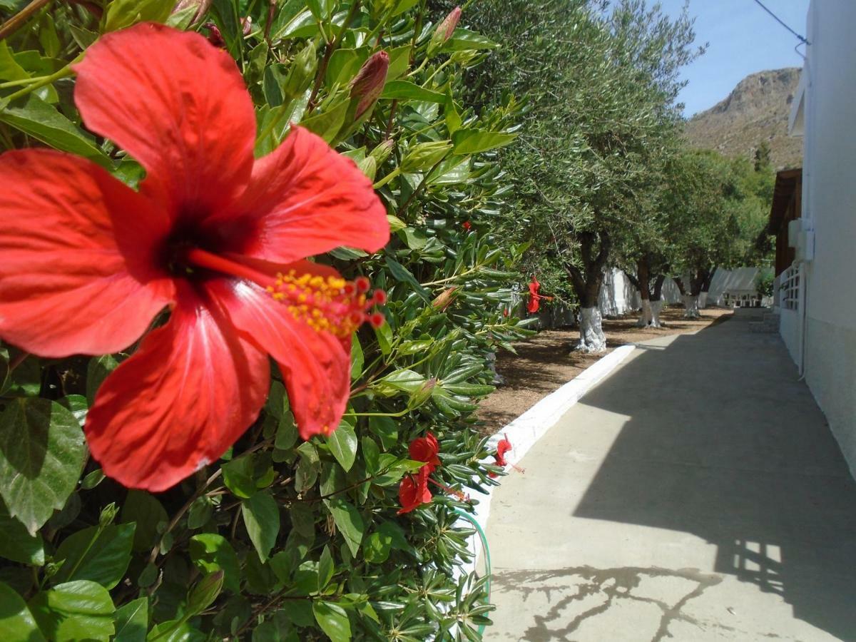 Leros Eleonas Apartments Alinda  Eksteriør billede